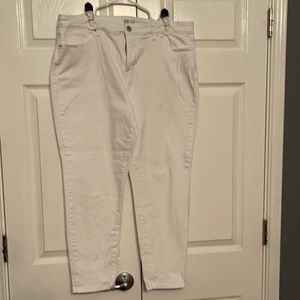 Style & Co Curvy Skinny Leg denim pants